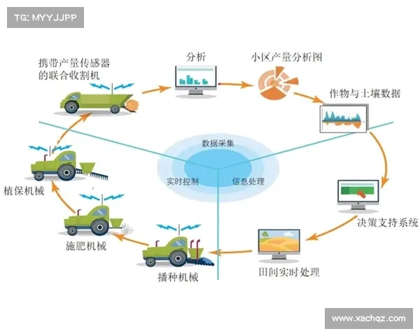 战场精准布局与战略部署全攻略:提升决策效率与作战胜算的实用指南 战场精准布局与战略部署全攻略:提升决策效率与作战胜算的实用指南